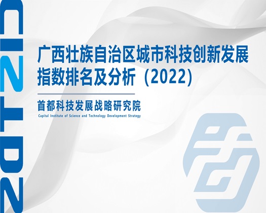 操一下啊啊啊啊骚逼【成果发布】广西壮族自治区城市科技创新发展指数排名及分析（2022）